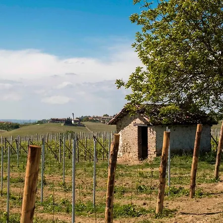 Anselma Lägenhet Novello