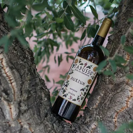 Lägenhet Anselma Novello